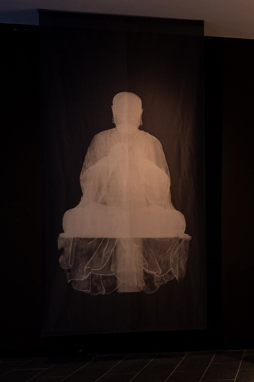 An X-Ray Image of the Statue of Seated Luohan in dharmacakramudrā Printed on Thick Translucent Fabric