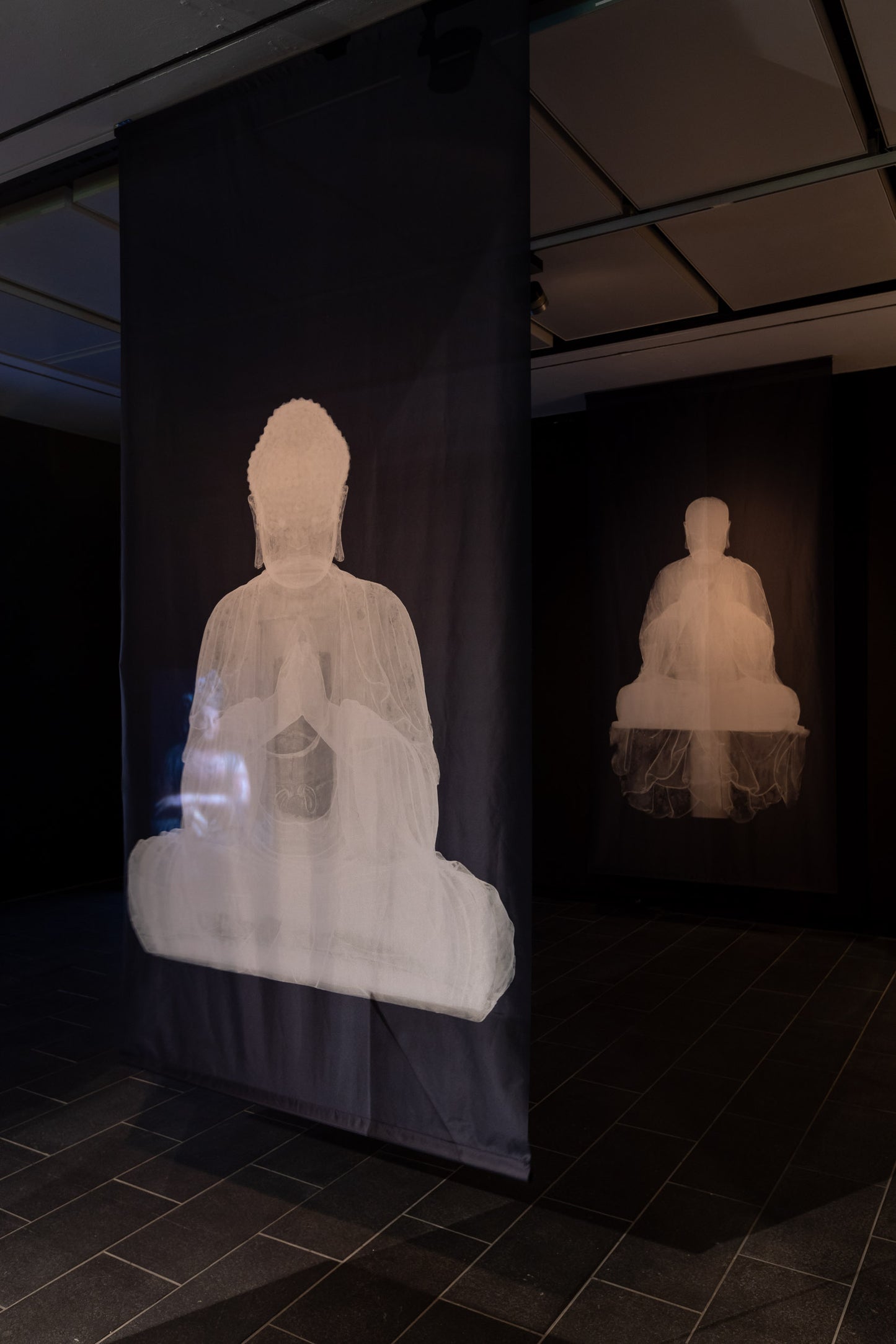 X-Ray Image of the Statue of Seated Buddha with Folded Hands Printed on Thick Translucent Fabric