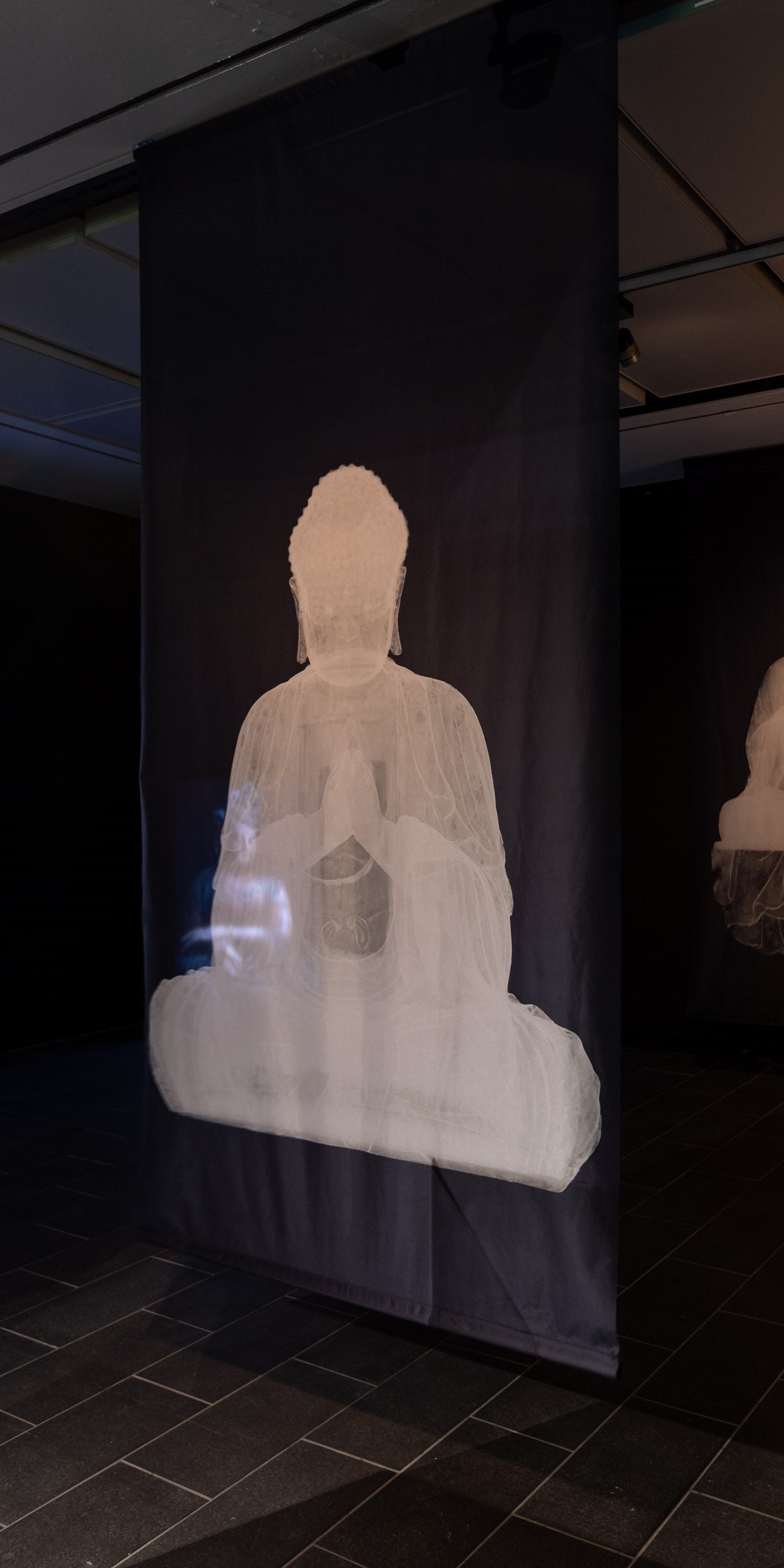 X-Ray Image of the Statue of Seated Buddha with Folded Hands Printed on Thick Translucent Fabric