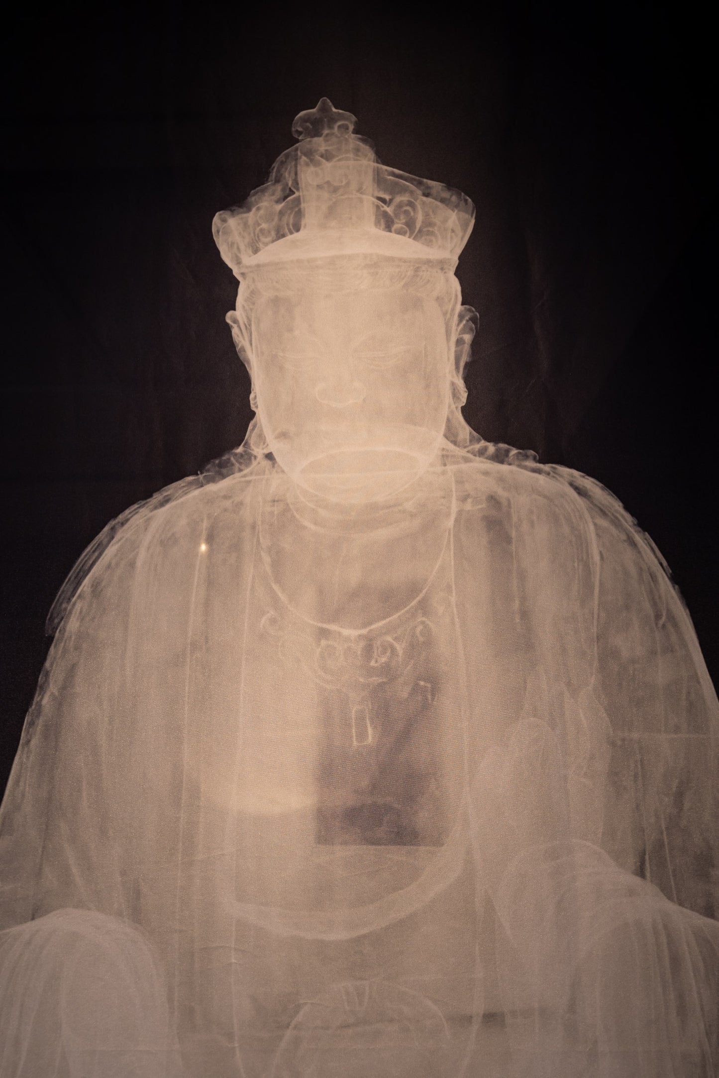 An X-Ray Image of the Statue of Seated Bodhisattva in Vitarkamudrā Printed on Thick Translucent Fabric